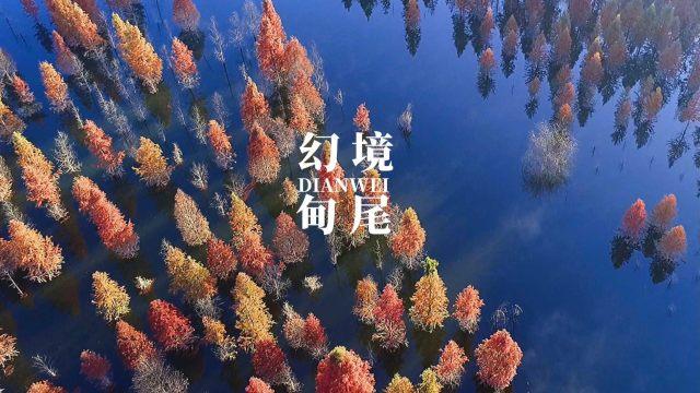 全民剧本大师内置菜单