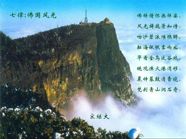 小猫钓鱼游戏龙王版有船